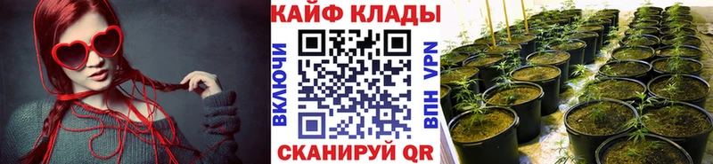 Наркотические вещества Киров APVP  Каннабис  Меф  Галлюциногенные грибы  COCAIN  Гашиш 