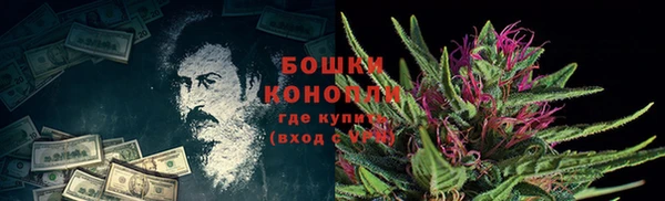 эйфоретик Гусев