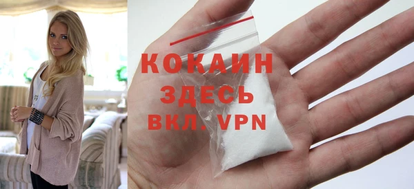 эйфоретик Гусев
