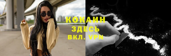 эйфоретик Гусев
