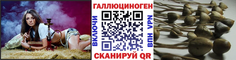 Галлюциногенные грибы прущие грибы  дарнет шоп  KRAKEN сайт  Киров 